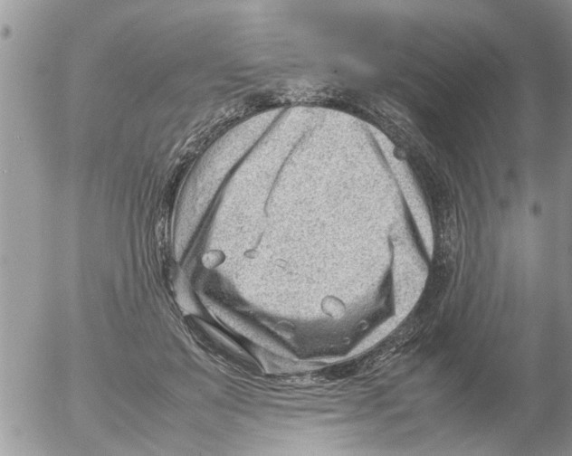 X0000054430503200508262351