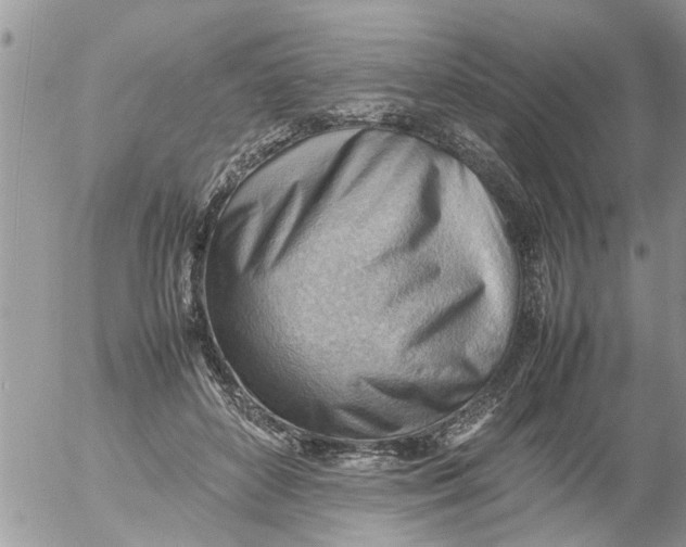 X0000054430504200508262351