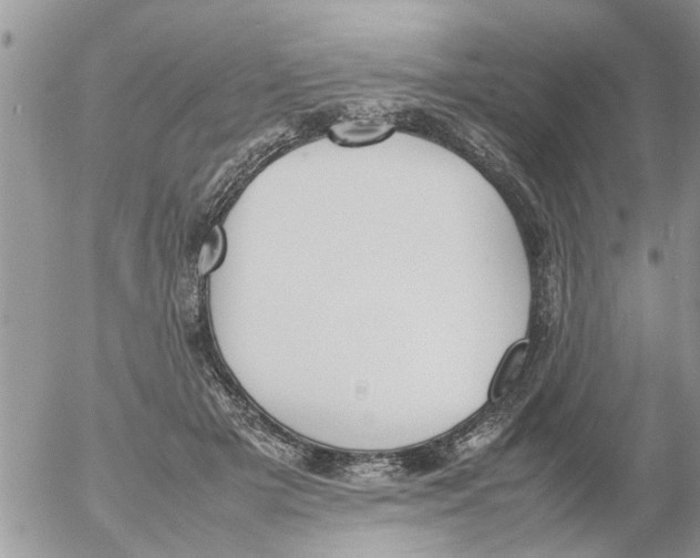 X0000054430505200508262351