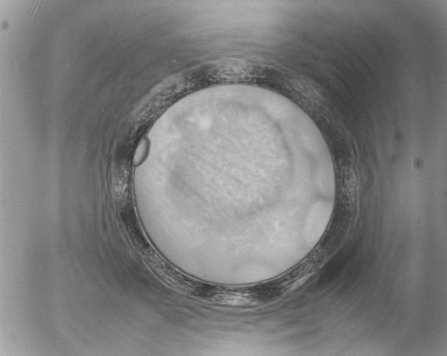 X0000054430507200508262351