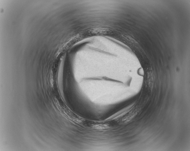 X0000054430508200508262351