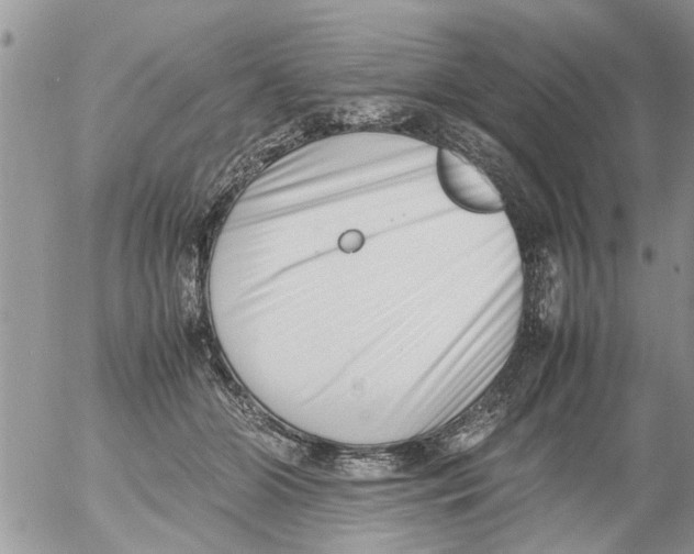 X0000054430510200508262351