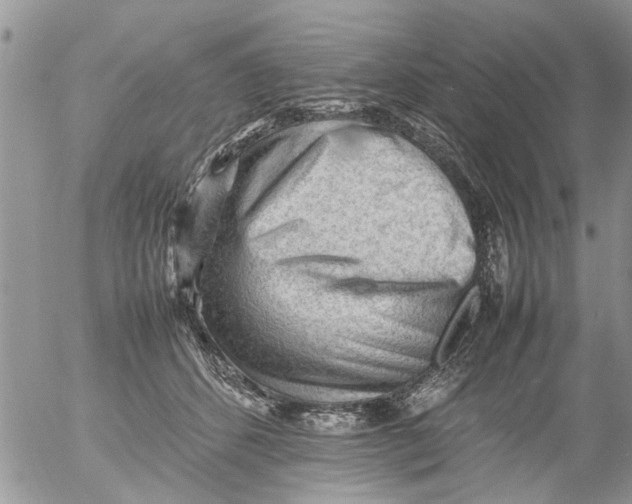 X0000054430512200508262351