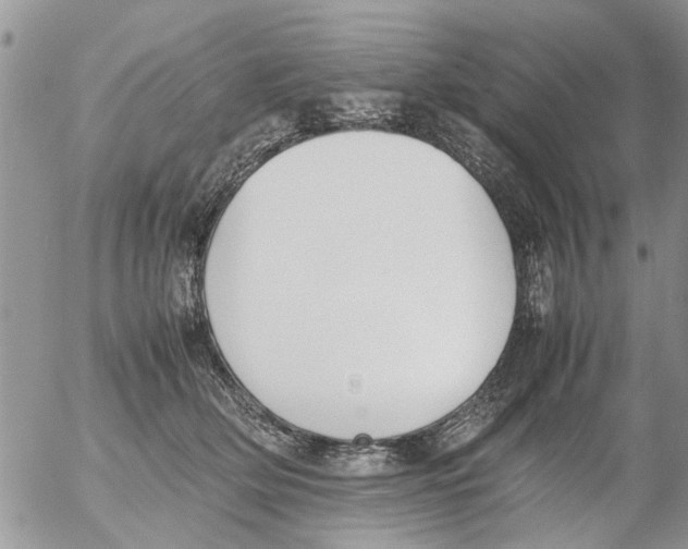 X0000054430514200508262351