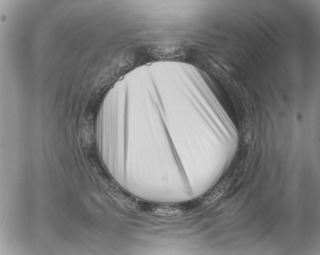 X0000054430515200508262351