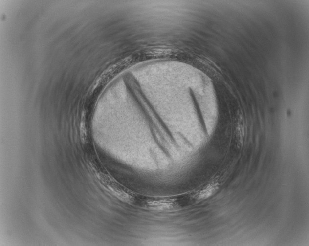 X0000054430516200508262351