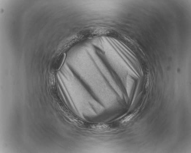 X0000054430517200508262351