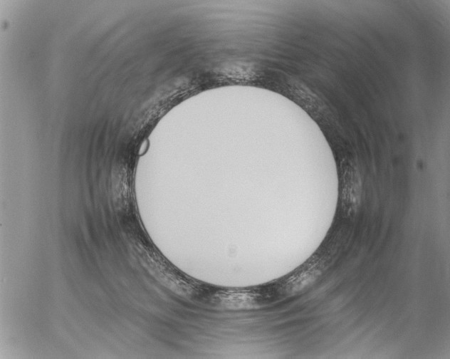 X0000054430518200508262351