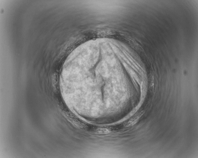 X0000054430519200508262351