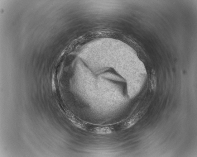 X0000054430520200508262351