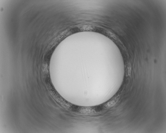 X0000054430521200508262351