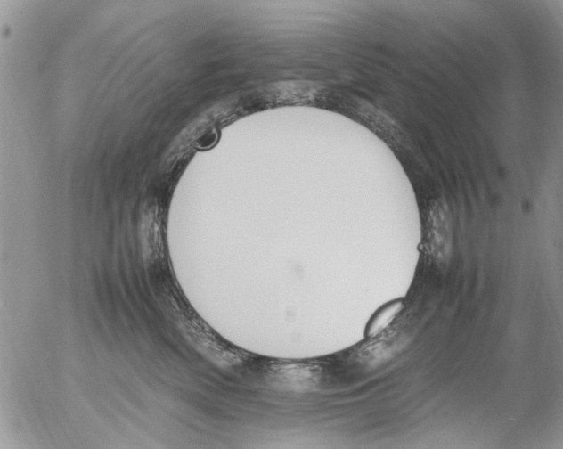 X0000054430522200508262351