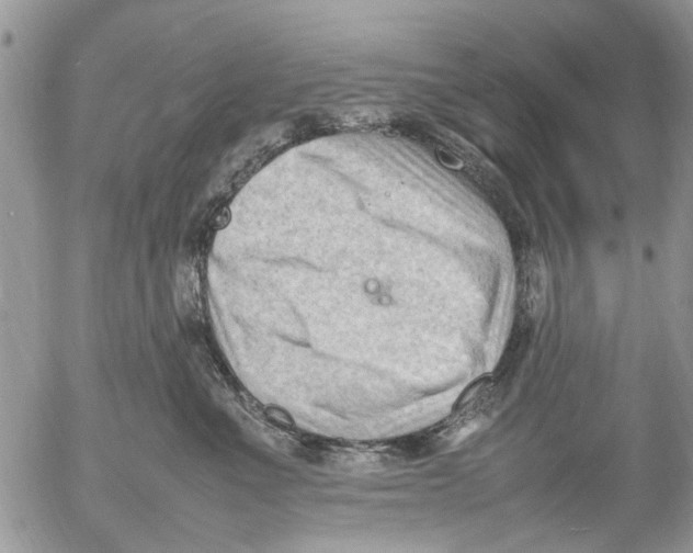 X0000054430523200508262350