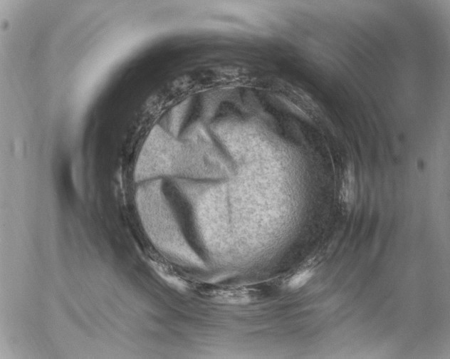 X0000054430524200508262350