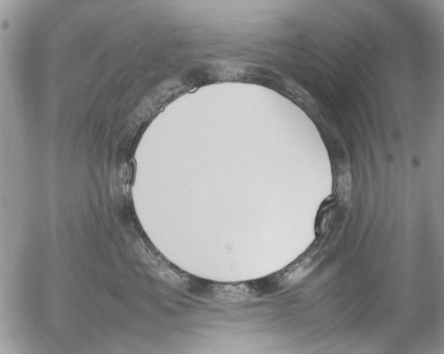 X0000054430525200508262350