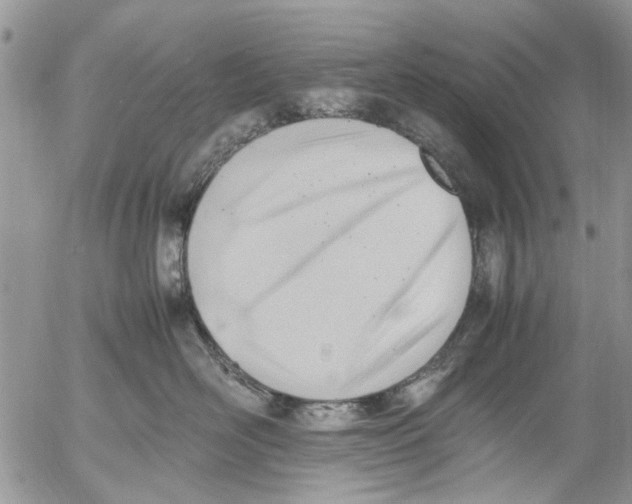 X0000054430526200508262350