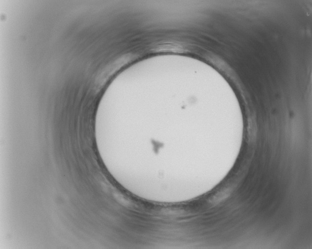 X0000054430529200508262350