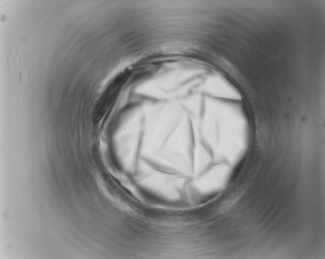 X0000054430530200508262350