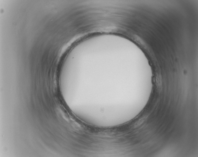 X0000054430532200508262350