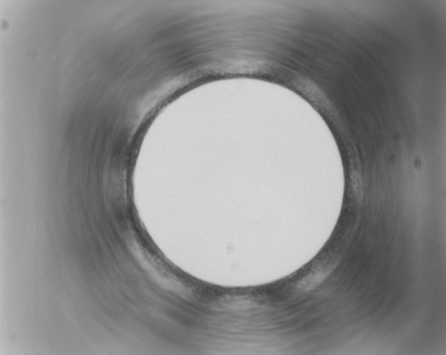 X0000054430534200508262350