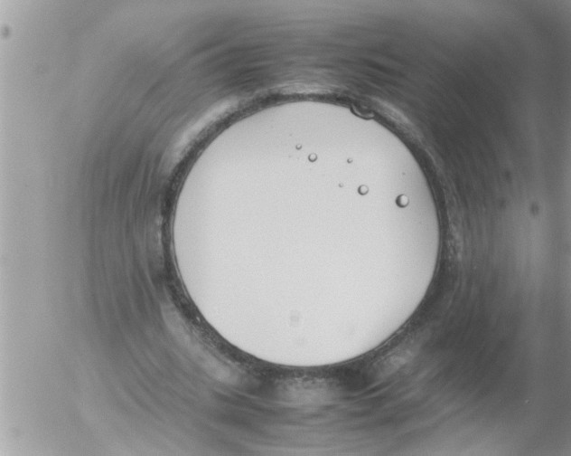 X0000054430535200508262350