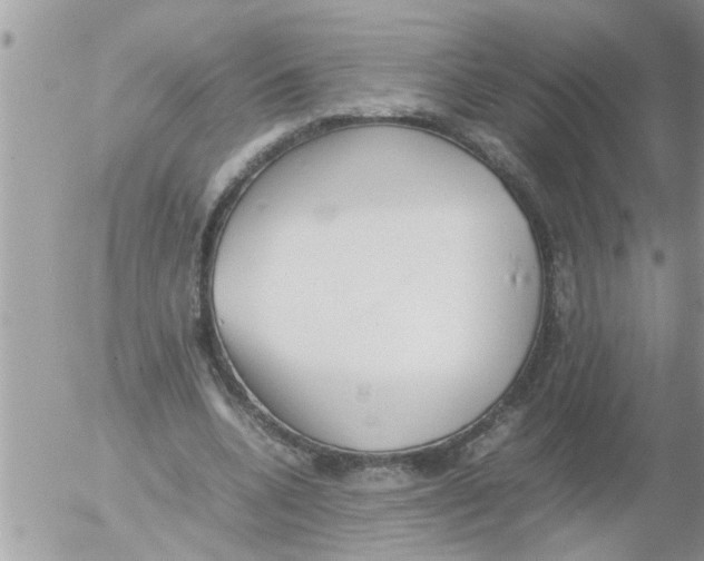 X0000054430536200508262350