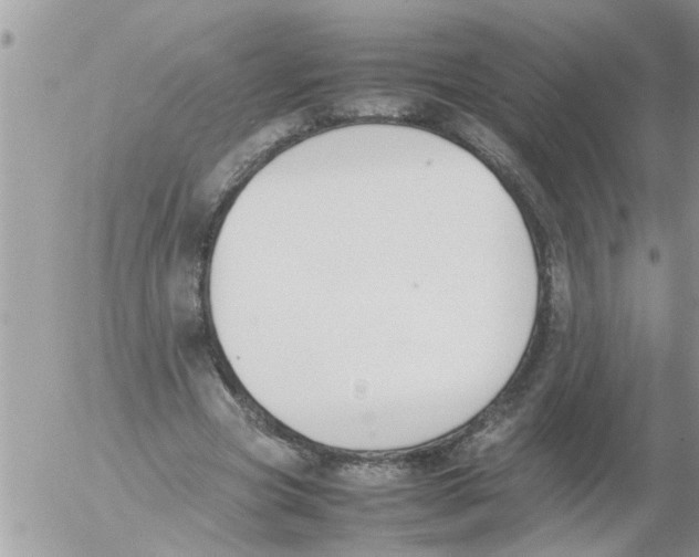 X0000054430537200508262350