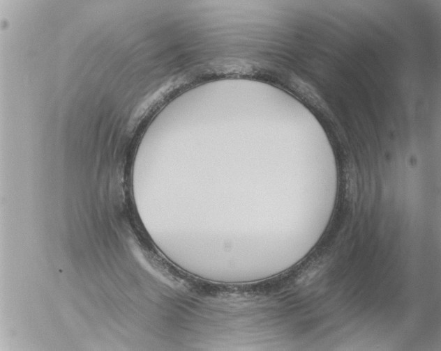 X0000054430538200508262350