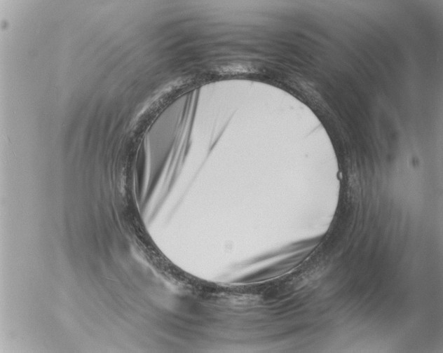 X0000054430539200508262350