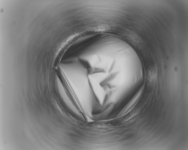 X0000054430540200508262350