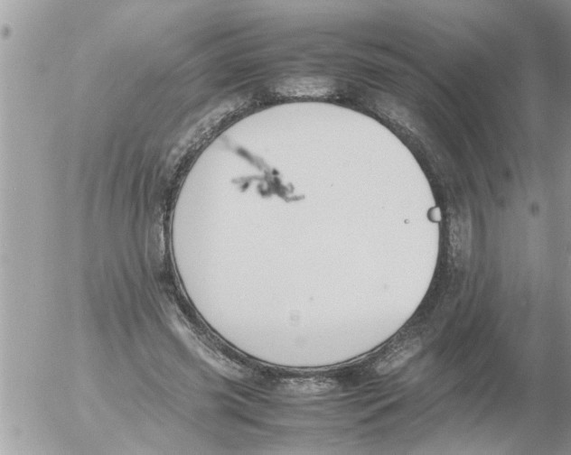 X0000054430541200508262350