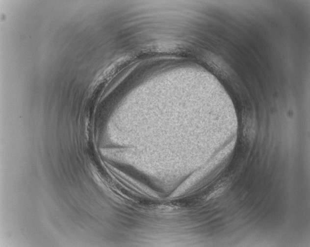 X0000054430542200508262350