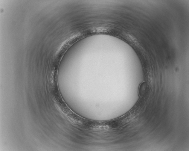 X0000054430543200508262350