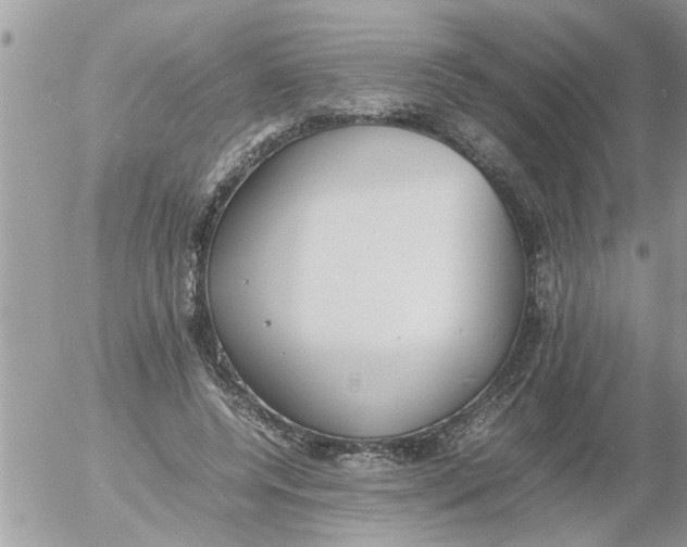 X0000054430544200508262350