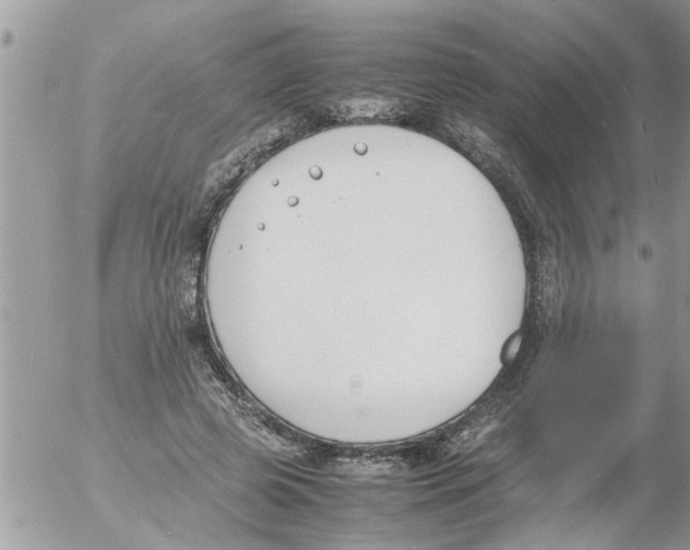 X0000054430545200508262350