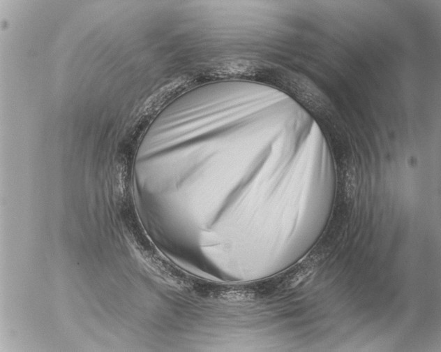 X0000054430546200508262350