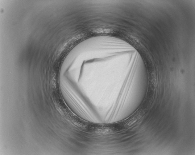 X0000054430547200508262350