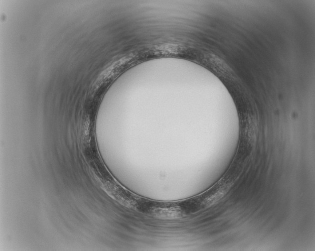 X0000054430548200508262350