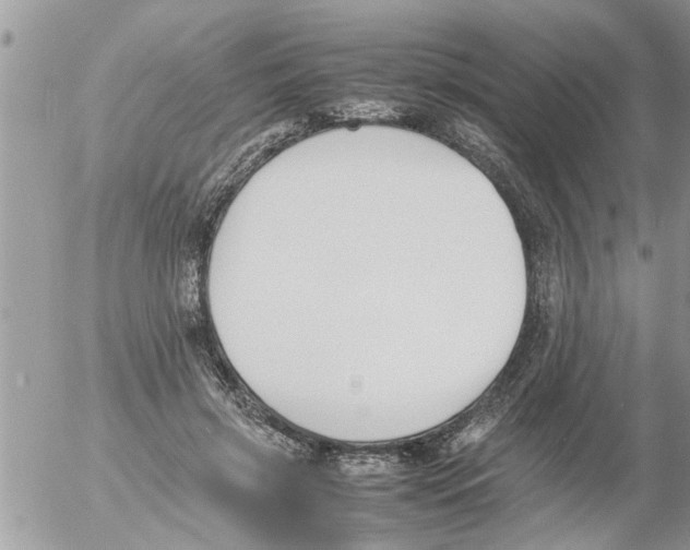 X0000054430549200508262350