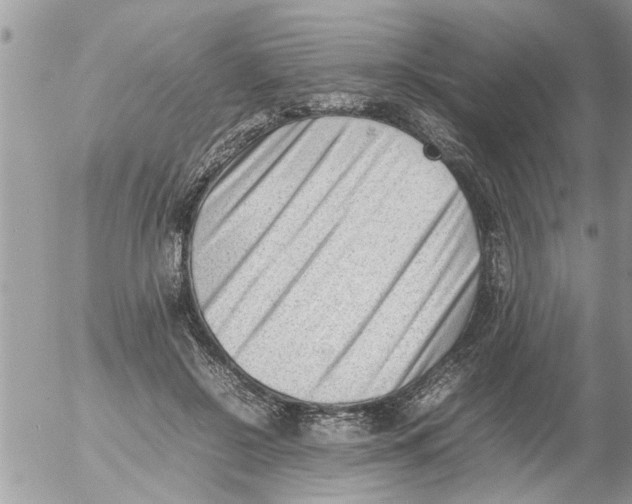 X0000054430550200508262350