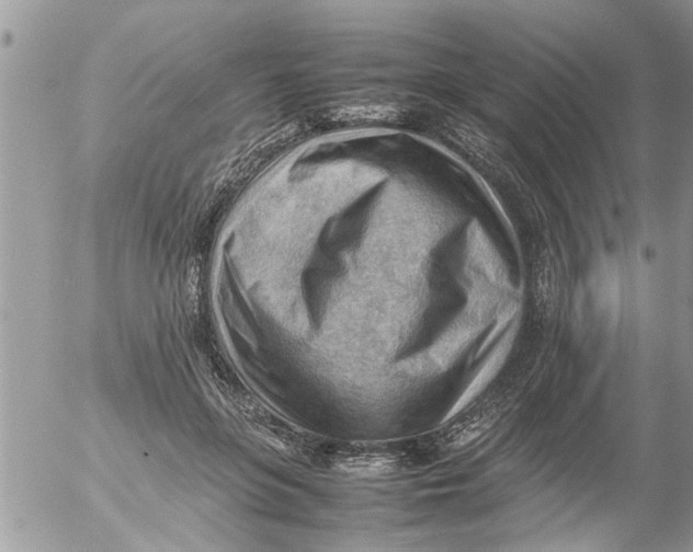 X0000054430551200508262350