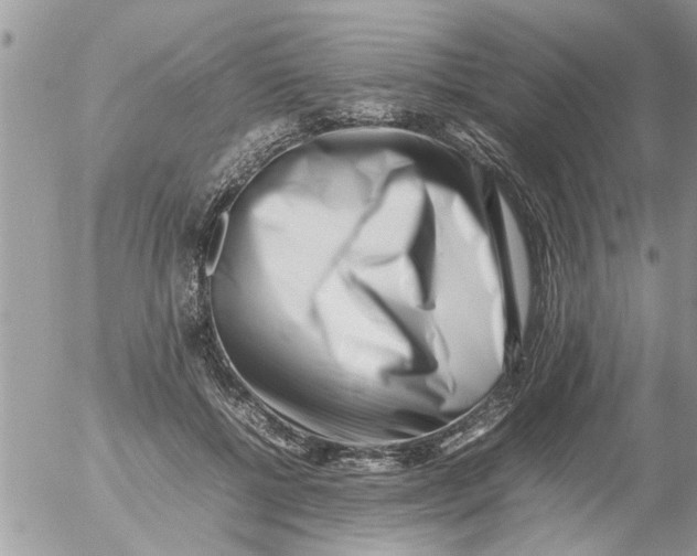 X0000054430552200508262350