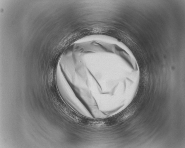 X0000054430554200508262350