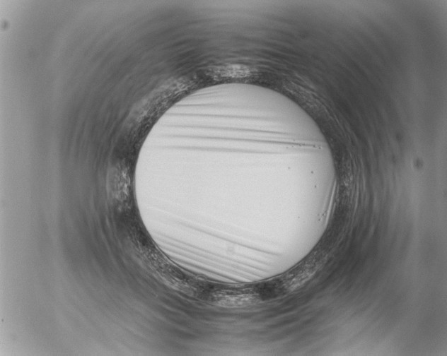 X0000054430555200508262350