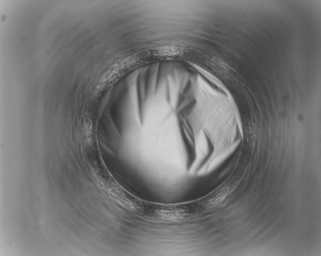 X0000054430556200508262350