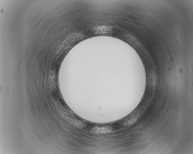 X0000054430557200508262350