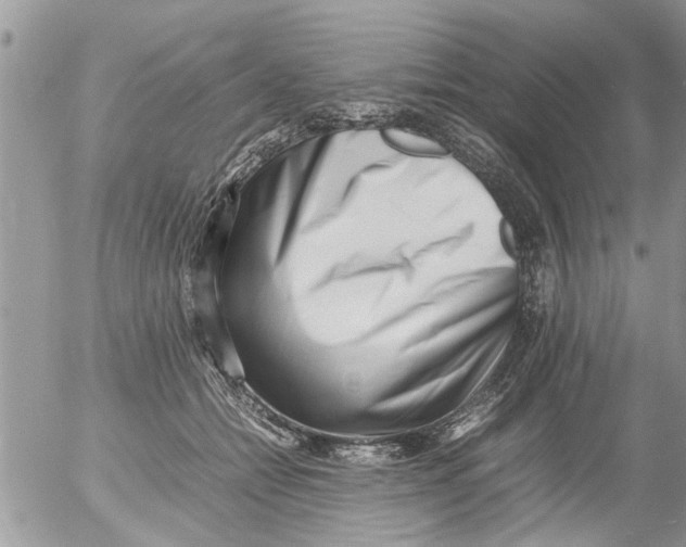 X0000054430558200508262350