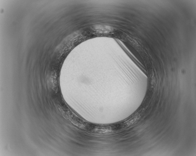 X0000054430559200508262350