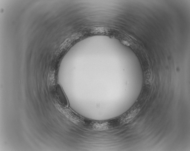 X0000054430560200508262350