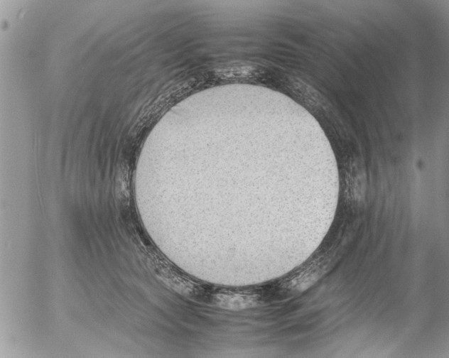 X0000054430561200508262350